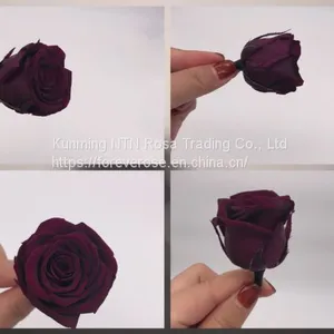 Preserved Rose Flowers for Wedding Decoration Flower Arrangement thumbnail-3