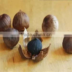 Wholesale Black Garlic Jinxiang Factory Supply Export Black Garlic thumbnail-1
