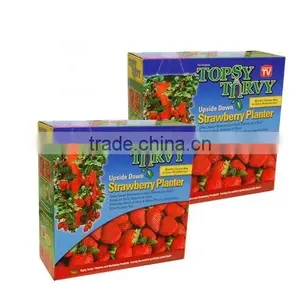 Upside Down Strawberry Planter/Hanging Strawberry Planter thumbnail-2