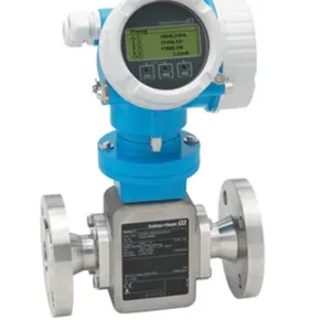 E+H Electromagnetic Flowmeter 10W 50W 53W 10H 10P thumbnail-1