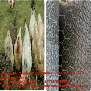 HEXAGONAL WIRE MESH/ CHICKEN WIRE MESH thumbnail-3