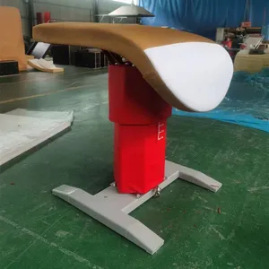 Supply of Advanced Vaulting Platforms/pommel Horses thumbnail-5
