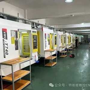 Dongguan Tesige Hardware Products Co., Ltd. company overview - view 1 thumbnail