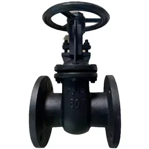 Russian Standard GOST Cast Steel and Cast Iron Gate Valve Durable Reliable Valves Meeting GOST Specifications for Industrial Use thumbnail-1