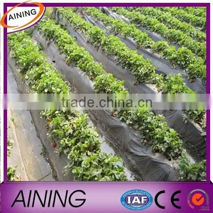 PBAT Black Biodegradable Film,Plastic Agricultural Mulch Film thumbnail-1