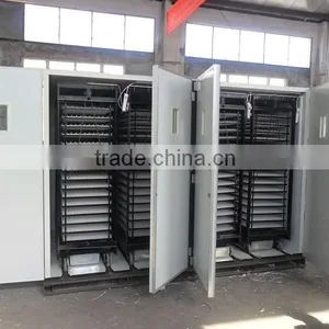 Poultry Brooding Machine,egg to Chicken Machine,chicken Making Machine thumbnail-6