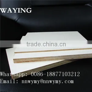 Bent Plywood thumbnail-6