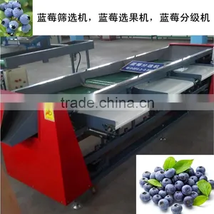 Blueberry Sorting Machine thumbnail-1