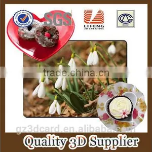 2015 Factory Supply Creative Lenticular PP/PET 3D Table Mat With Four Color Printing thumbnail-2