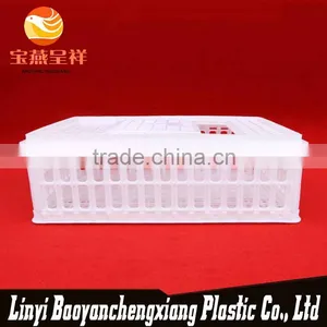 New Polyethylene China OEM Plastic Chicken Coop thumbnail-1