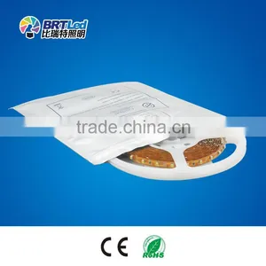 Bright Lighting Flexible LED Strip Light Main Product Ip68 Led Strip Light 12v thumbnail-1