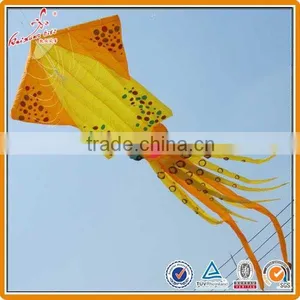 Durable Ripstop Nylon Large Inflatable Kite thumbnail-4