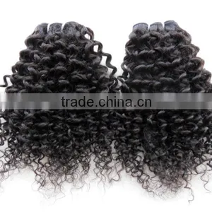 Wholesale Kinky Curly Virgin Malaysian Hair Extension thumbnail-1