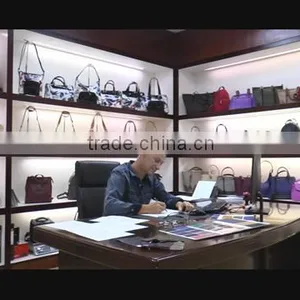 Dongguan Fashi Leather Goods Co., Ltd. company overview - view 1 thumbnail