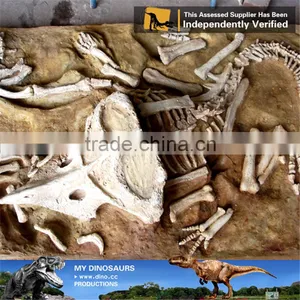 MY Dino-C092 Simulation Dinosaur Fossil Specimens for Sale thumbnail-3