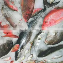 Dung Seafood Company Limited company overview - view 3 thumbnail