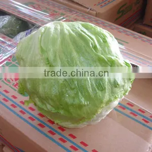 2016 Chinese Decorative Round Shape Green Iceberg Lettuce thumbnail-1