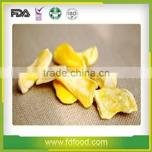 Pure Natural and Well Sold Freeze Dried Jackfruit With High Quality thumbnail-2