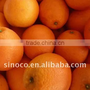 Oranges and Tangerines thumbnail-1
