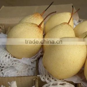 9KG Ya Pear 40-44 Specification thumbnail-3