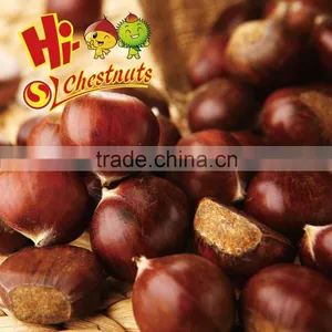 Organic Chinese Dried Chestnuts for Sale thumbnail-1