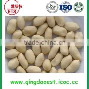 Good Quality Blanched Peanut Kernel Origin is Shandong Province thumbnail-1