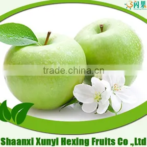 Fresh Gala Apple for Hot Sale thumbnail-1