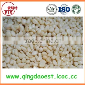 Garlic in Brine From Chinese Factory With High Quality and Competitive Price thumbnail-2