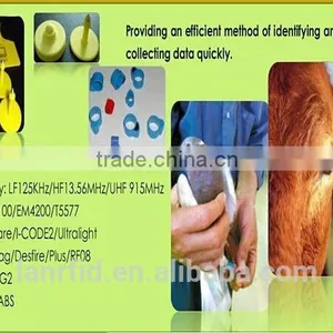 RFID Animal Ear Tag With Laser Printing Number for Cattle thumbnail-2