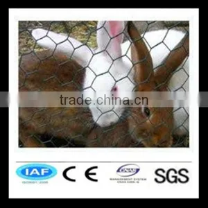 Hot Sale ss Hexagonal Wire Nettings thumbnail-1