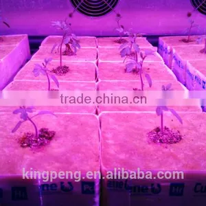 Container Greenhouse for Agriculture thumbnail-1