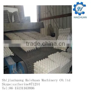 Fully-auto Paper Egg Making Tray Machinery With Brick Dryer thumbnail-1