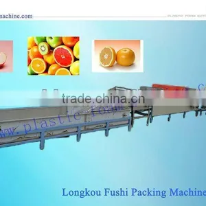 Fruit Waxing Machiney thumbnail-1