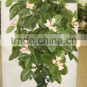 Artificial Decoration Potted Flower Tree Flower Potted Plant LGH15-06 thumbnail-3