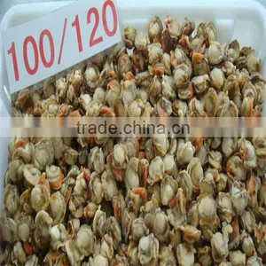 Seafood Frozen Scallops Pictures thumbnail-1