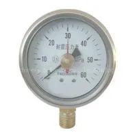 Shock Proof Pressure Gauge thumbnail-1