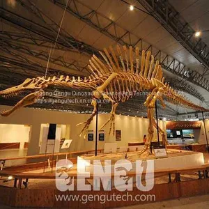 Spinosaurus Fossil(FP-269) thumbnail-1