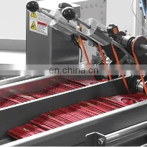 Rotary Double-Bag Pick Fill Seal Machine thumbnail-5