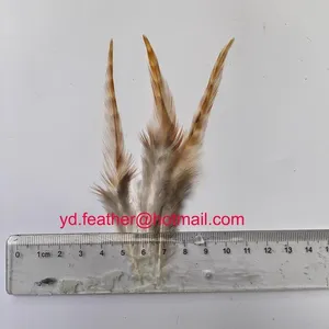 Rooster Schlappens Chinchilla Tail Feather From China thumbnail-1