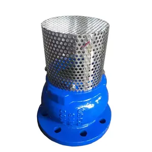 JIS/ANSI/DIN PN16 Cast Ductile Iron Flange Check Foot Valve With Stainless Steel Filter Water Pump thumbnail-3
