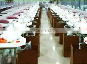 Shandong Searsport Foods Co., Ltd. company overview - view 1 thumbnail