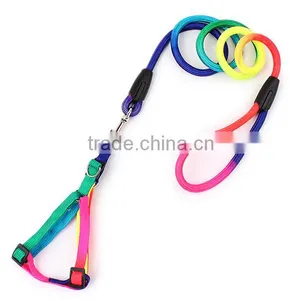 Wholesale Pet Supplies Dog Rope Chain Colorful Round Harness Leash thumbnail-4
