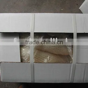 White Radish thumbnail-1