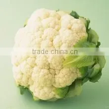 Fresh Cauliflower thumbnail-1