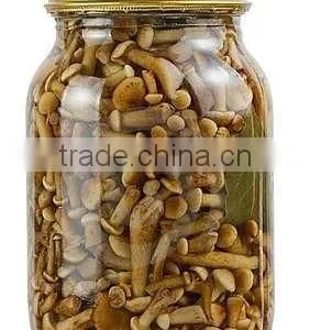 New Crop Canned Mushroom thumbnail-1