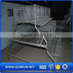 Chicken Cages With Drinkers and Feeders thumbnail-2