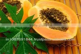 Organic Papaya Leaf Tea thumbnail-2
