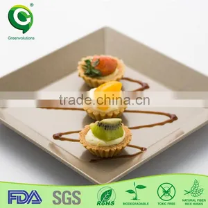 Fashion Design Biodegrable and Wholesale Simple Square Plate thumbnail-1