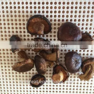 Vacuum Fried Dried Vegetables Chips-VF Dried Mushroom Crispy thumbnail-1