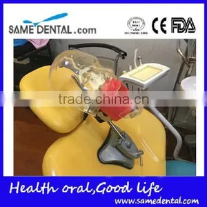 Multifunctional Simple Head Mold Dental Model thumbnail-1